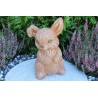 Hase / Kaninchen stehend
