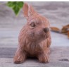 Hase / Kaninchen sitzend