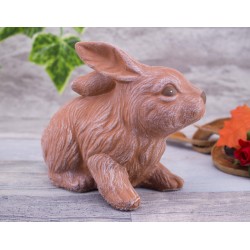 Hase / Kaninchen sitzend
