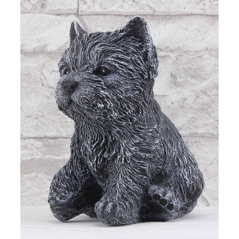 Hund sitzend klein