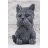 Katze nichts sagen