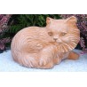 Katzen Perser 2er Set