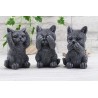 Katzen 3er Set