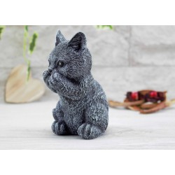 Katzen 3er Set