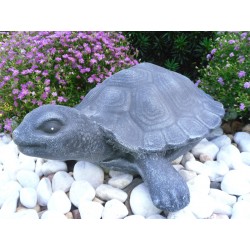 Schildkröte