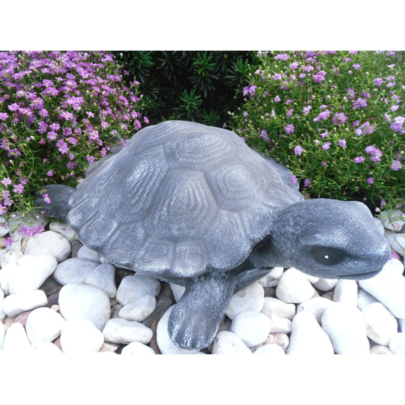 Schildkröte