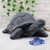 Schildkröte groß