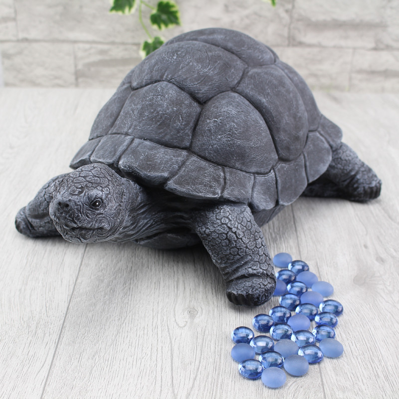 Schildkröte groß