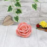 Rosen 2er Set
