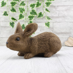 Hase / Kaninchen