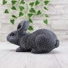 Hase / Kaninchen