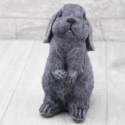 Hase / Kaninchen stehend
