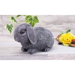 Hase / Kaninchen