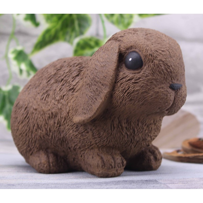 Hase / Kaninchen
