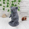 Koala Bär