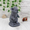 Koala Bär