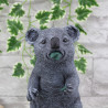 Koala Bär