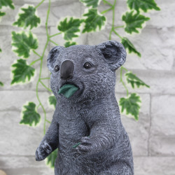 Koala Bär