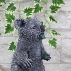 Koala Bär