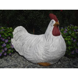 Huhn Hahn