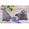 Robben 2er Set