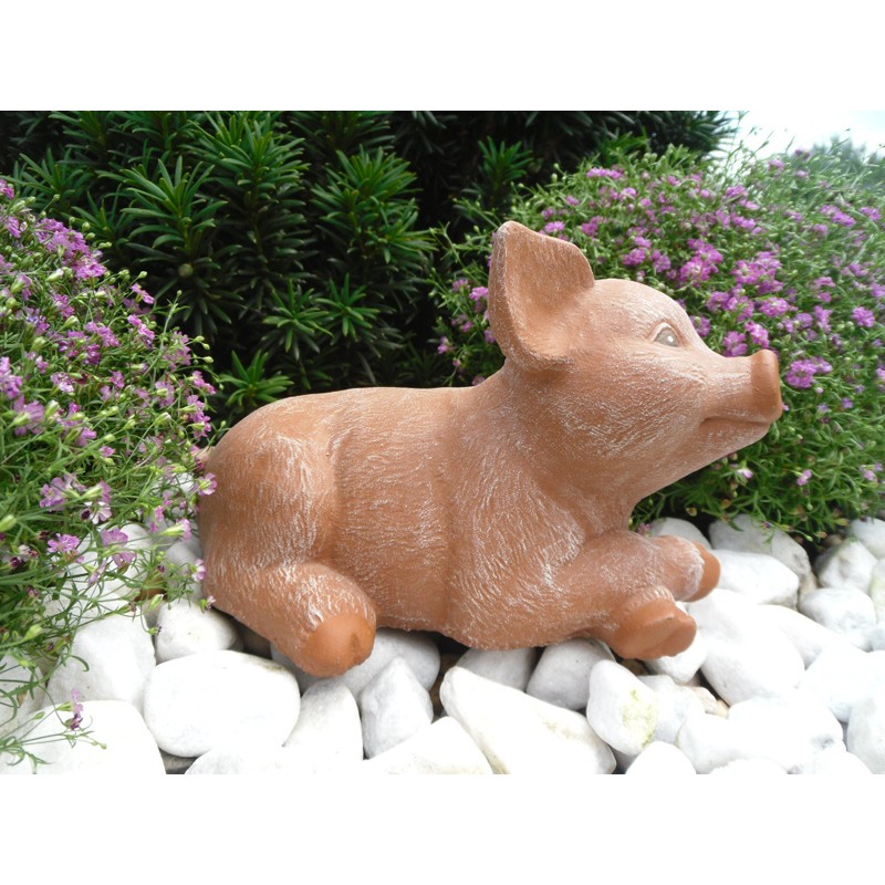 Schwein liegend