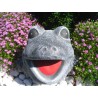 Frosch